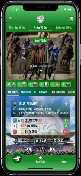 Game screenshot Racing Asset - Horse Racing mod apk