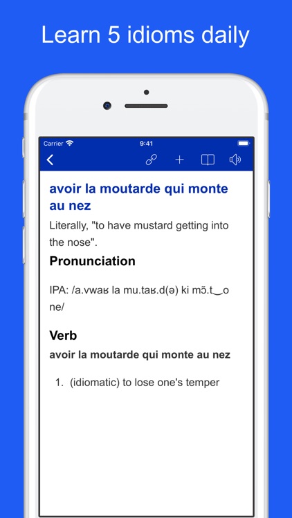 French Idiom Dictionary screenshot-5