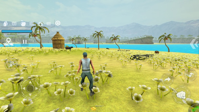 Island Survival Adventure Game