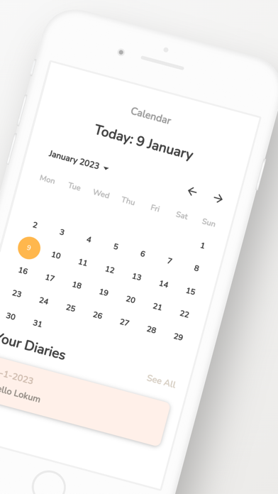 Lokum: Diary&Mood Tracker App screenshot 2