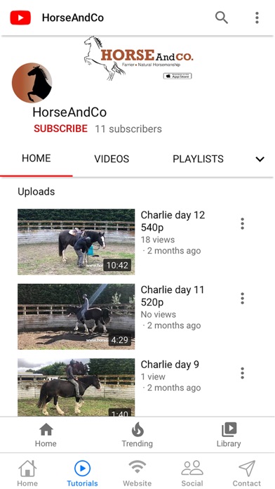 Horse And Co screenshot 3