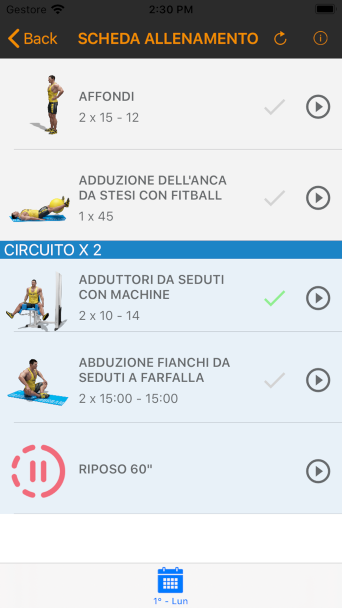 Moving Wellness Coach