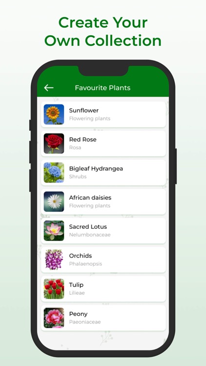 Plant Identifier + screenshot-3