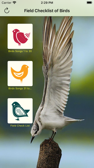 How to cancel & delete Common Birds Songs from iphone & ipad 1