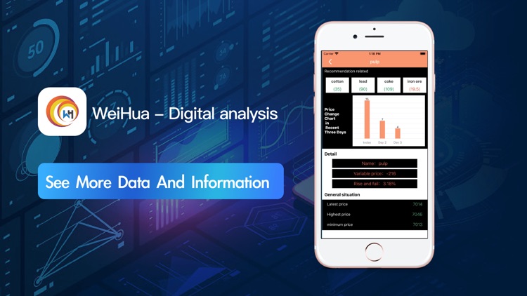 WeiHua - Digital analysis screenshot-4