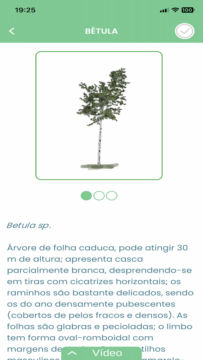 Territórios 5 Sentidos