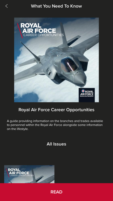 RAF Recruitment screenshot 2