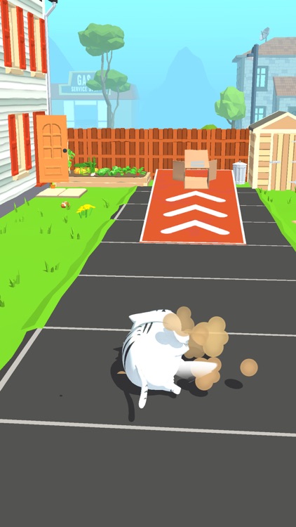 Cat Toss League screenshot-3