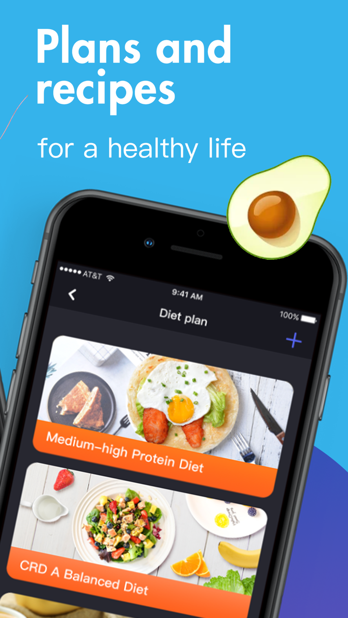 Nutritionist -- Food Diary