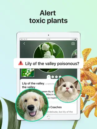 Screenshot 3 PictureThis - Plant Identifier iphone