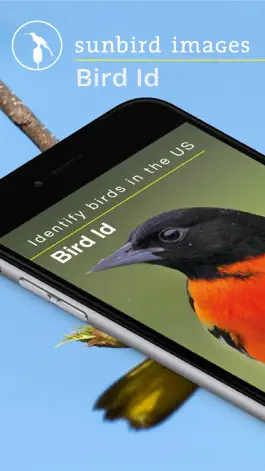 Game screenshot Bird Id USA - backyard birds mod apk