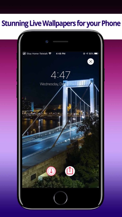 Lively: 4K Live Wallpapers by Muhammad Badruzzaman