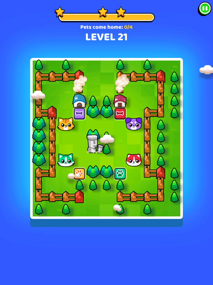 Pets Escape Dogs  Cats