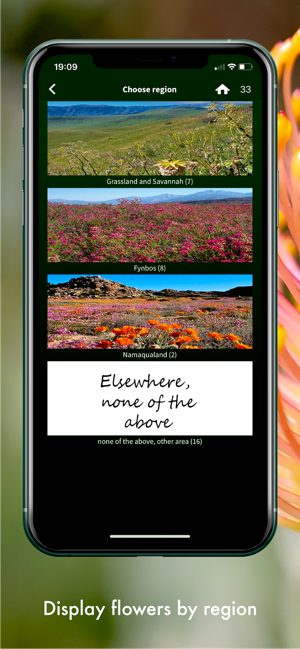 Wildflowers of South Africa(圖8)-速報App