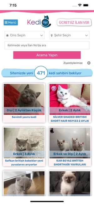 Kedipet Com Yavru Kedi Ilani On The App Store