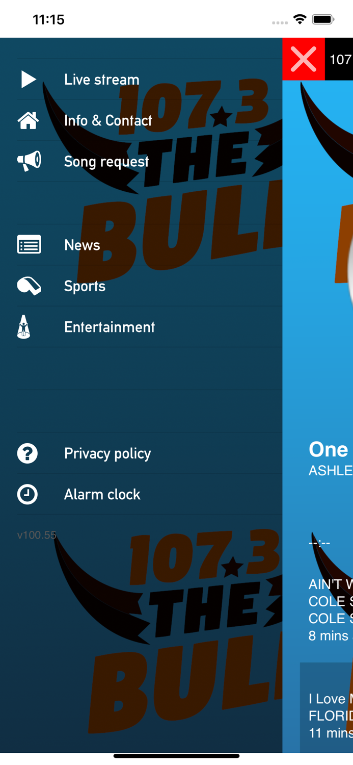 New Country 107.3 The Bull