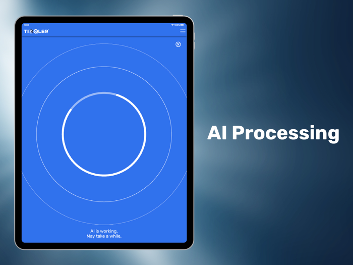 TIQQLER. Remove License Plates