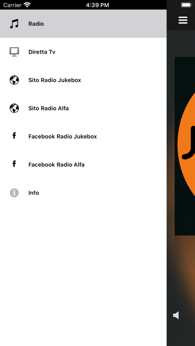 RADIO JUKE BOX TORINO screenshot 2