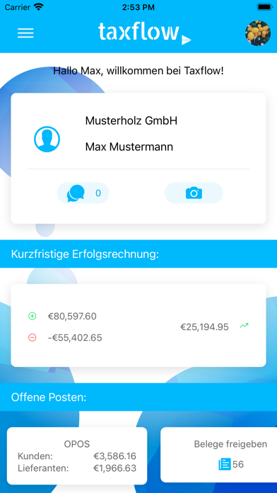 Taxflow Austria screenshot 2
