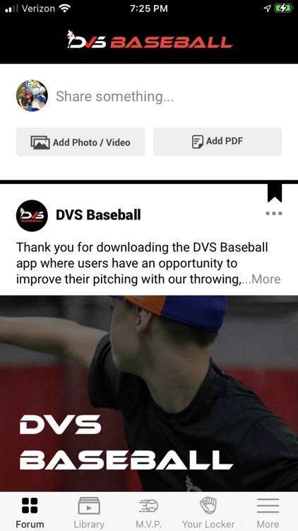 DVS Baseball MVP Program