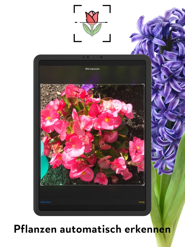 FlowerCam Gartenblumen kaufen