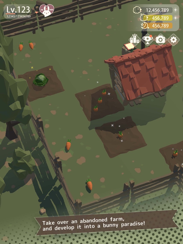 Bunny More Cuteness Overload