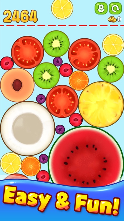 Watermelon Merge Puzzle