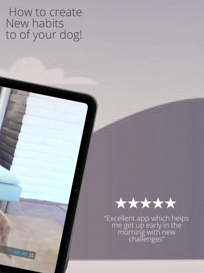 Dog Training Adopt My A Pet