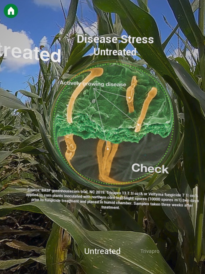 BASF Veltyma® AR Portal