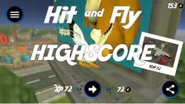 hit and fly problems & solutions and troubleshooting guide - 3