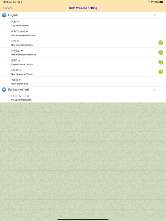 Punjabi English Audio Bible screenshot 4