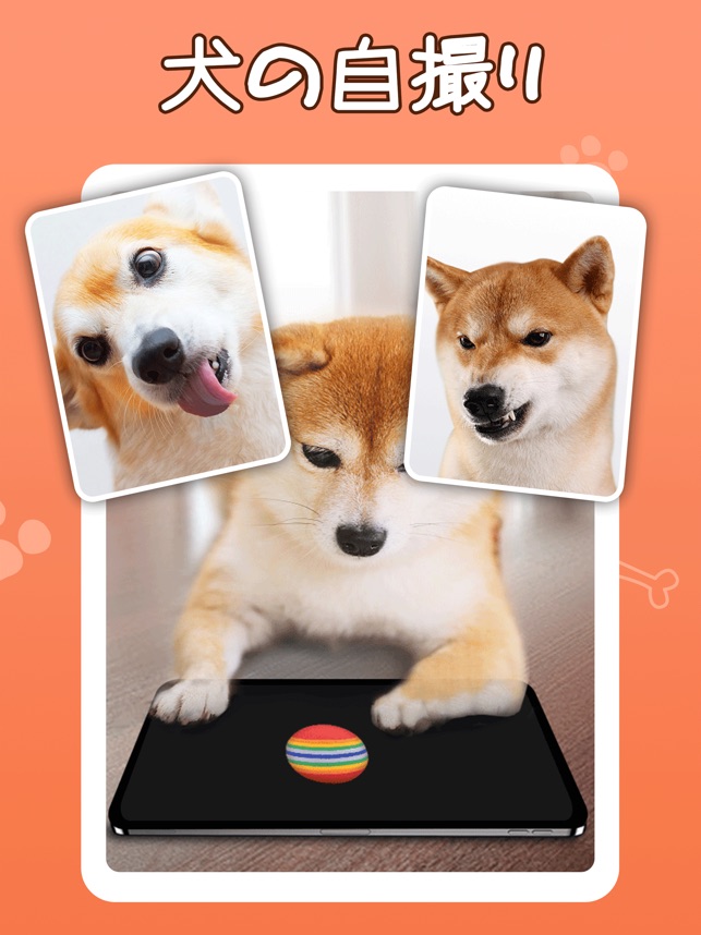 犬鳴き声と犬語翻訳アプリ をapp Storeで