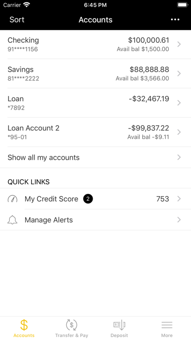 FreeStar Financial screenshot 3