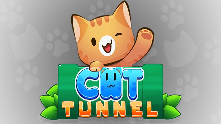 Cat Tunnel