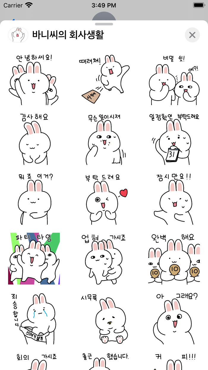 바니씨 회사생활