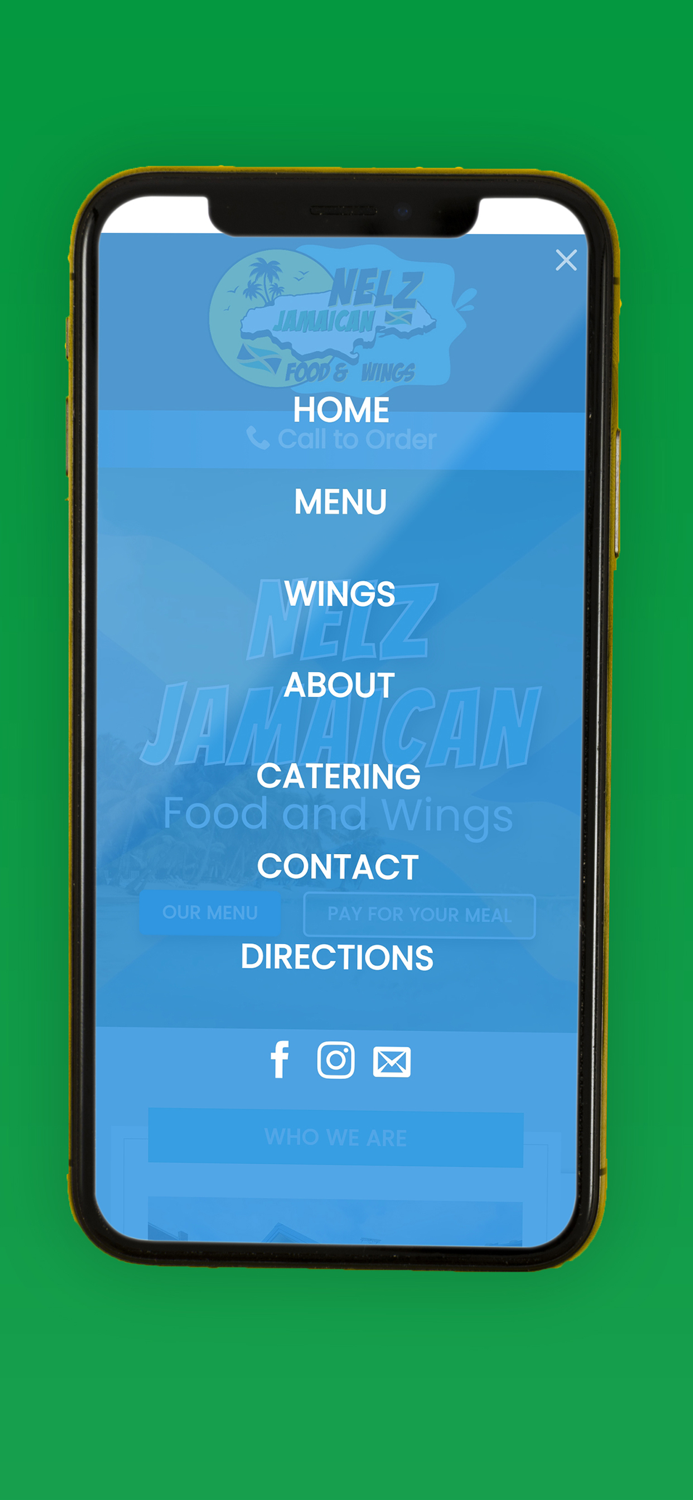 Nelz Jamaican Food  Wings