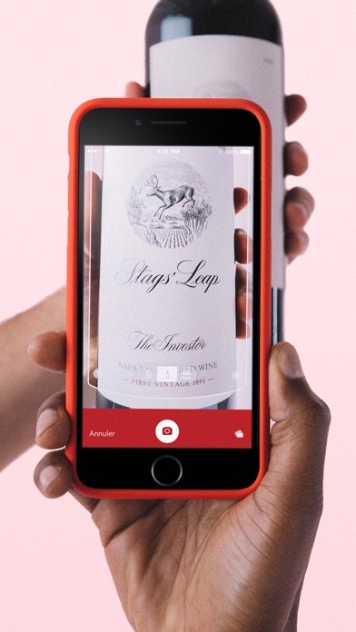 Vivino Vivino