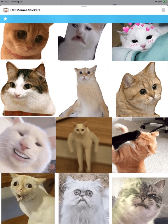 Cat Memes Stickers screenshot 4