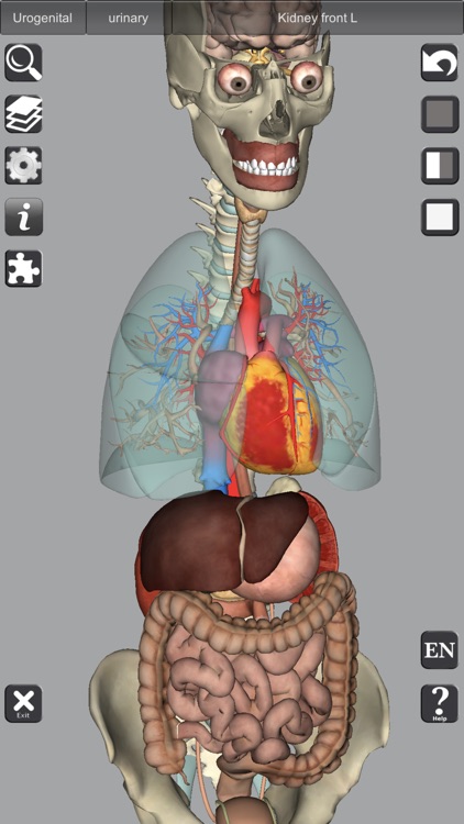 3D Anatomy Learning screenshot-5