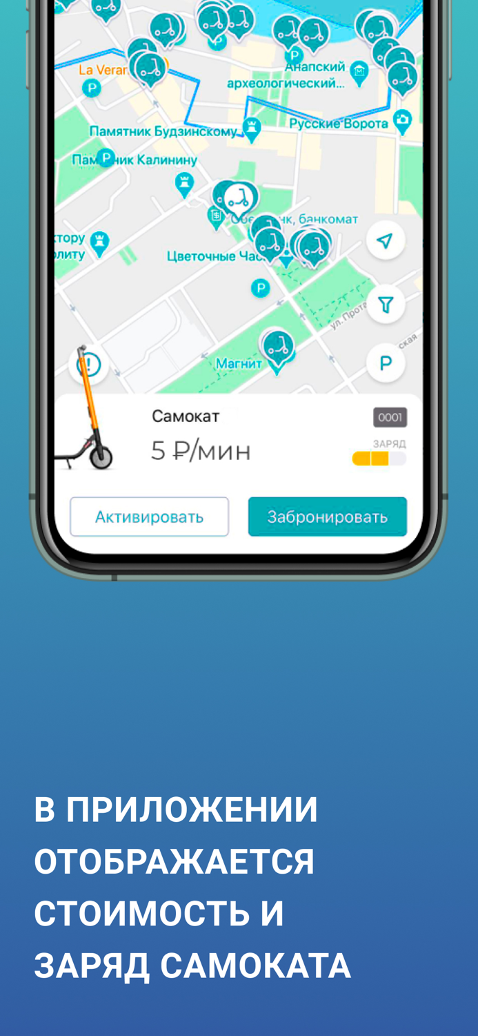 Seagull - ride with pleasure