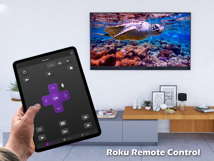 Remote Control for TV Roku