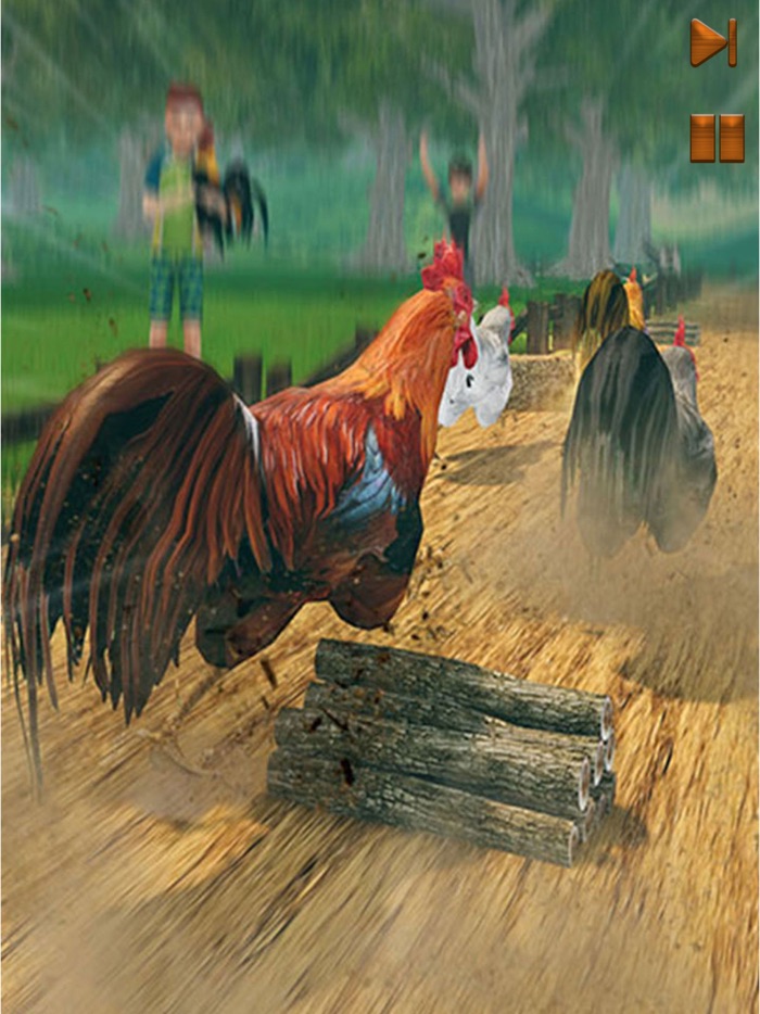Farm Chicken - Roaster Racing