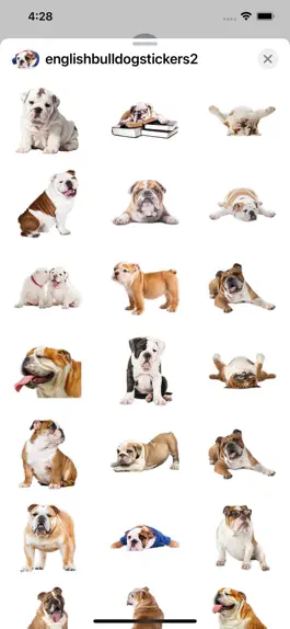 Game screenshot English Bulldog Stickers apk