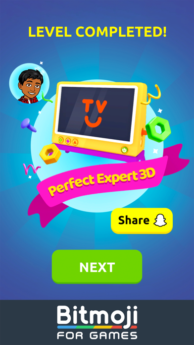 screenshot of Perfect Expert 3D 7