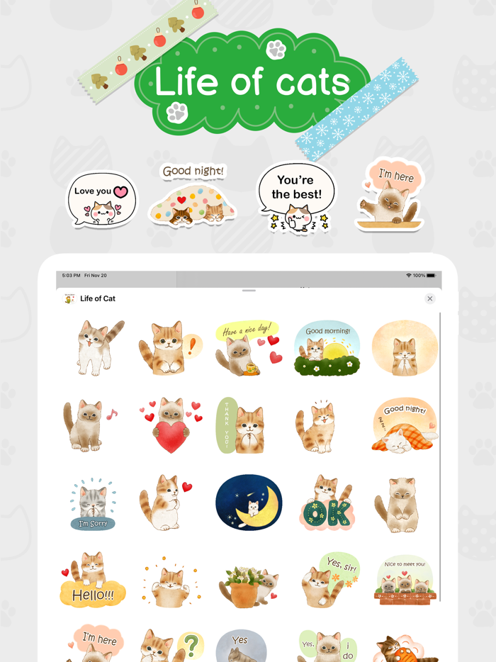 Life of Cat Animated