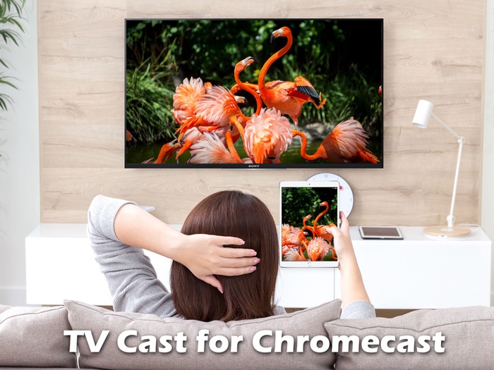 TV Cast Screen Mirroring