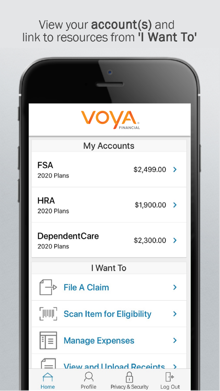 Voya Health Accounts