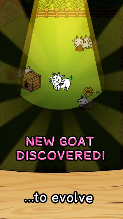 Goat Evolution