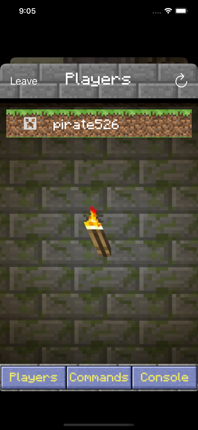 Mine Control for Minecraft