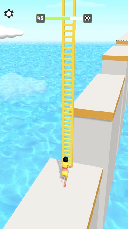 Perfect Bridge screenshot-3